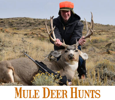 Wyoming Mule Deer Hunts